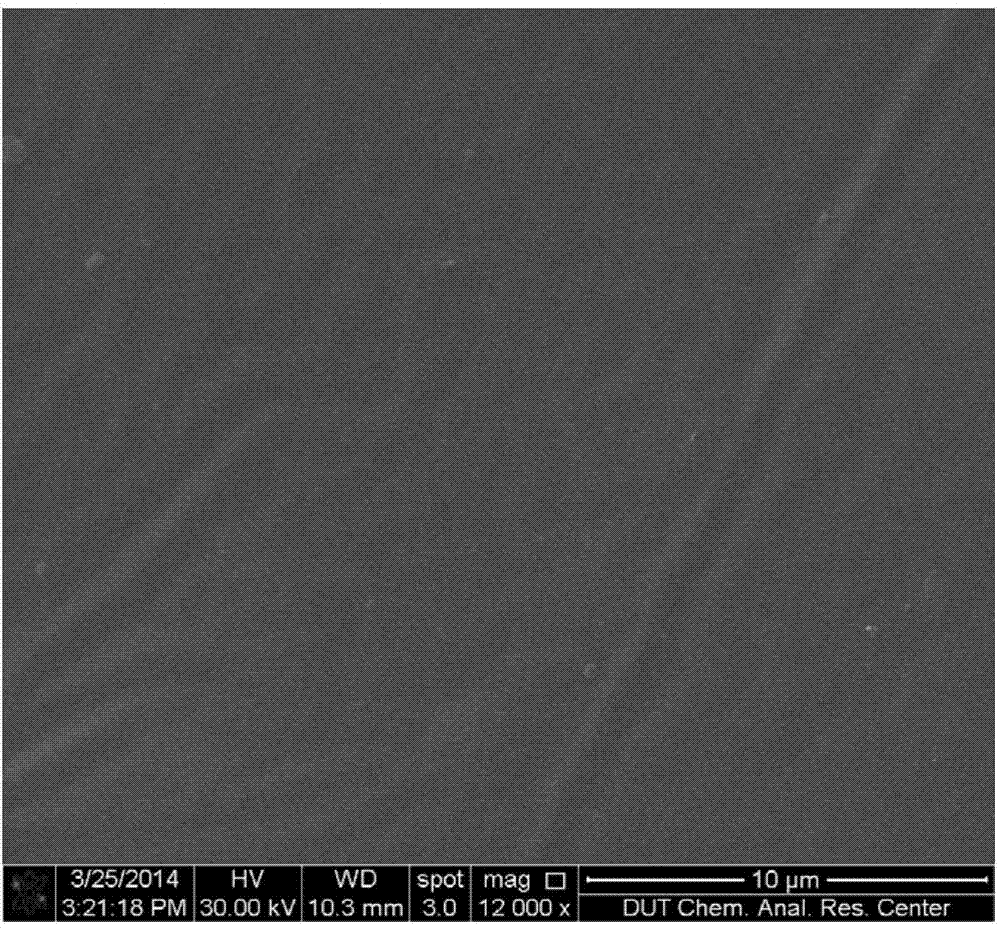 Preparation method of polydimethylsiloxane-carbon nano tube composite membrane, composite membrane and method for separating and purifying butyl alcohol