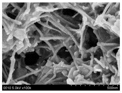 Method for preparing precious metal gold particle catalytically-grown stannic oxide nanowire