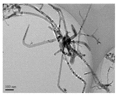 Method for preparing precious metal gold particle catalytically-grown stannic oxide nanowire