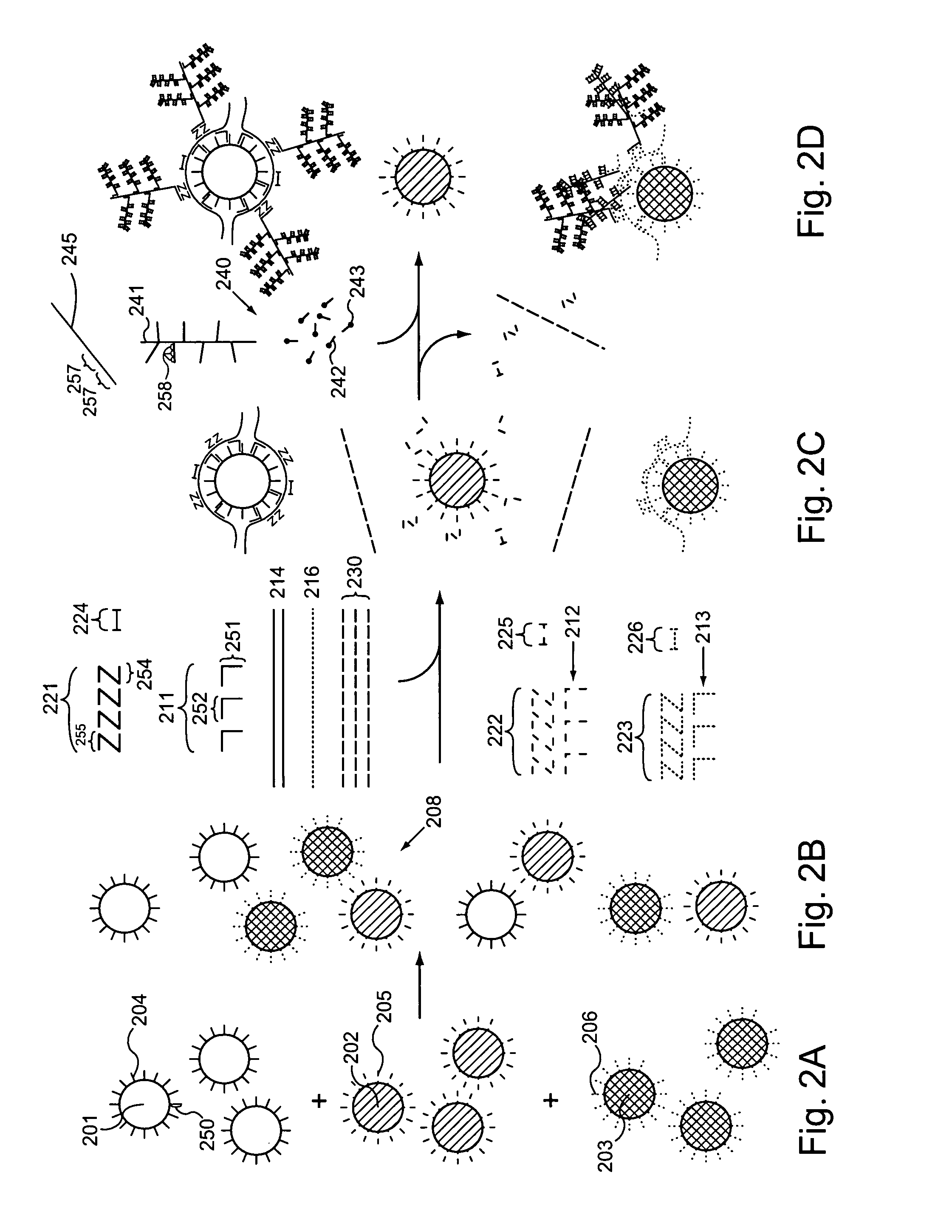 Multiplex detection of nucleic acids