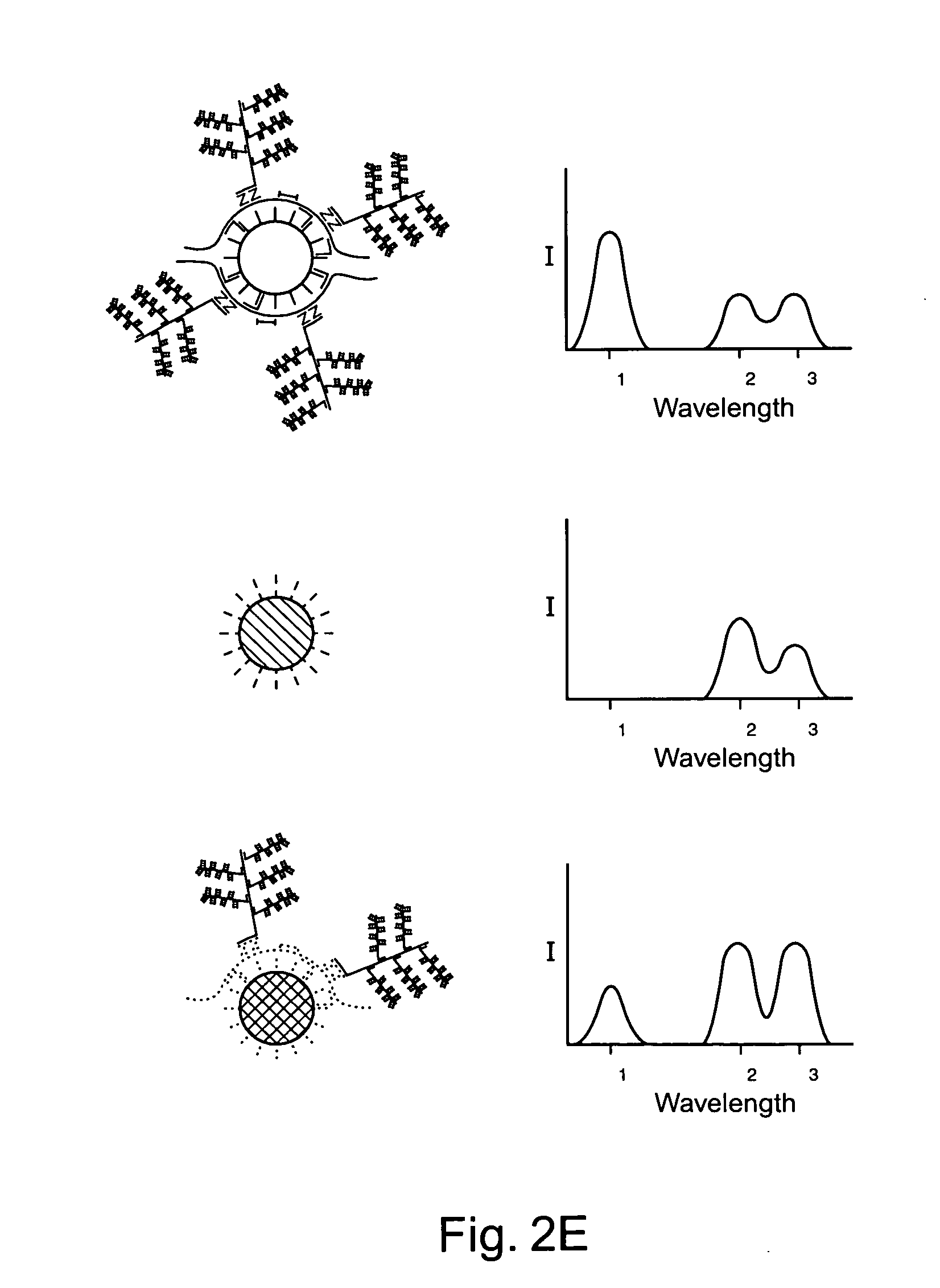 Multiplex detection of nucleic acids