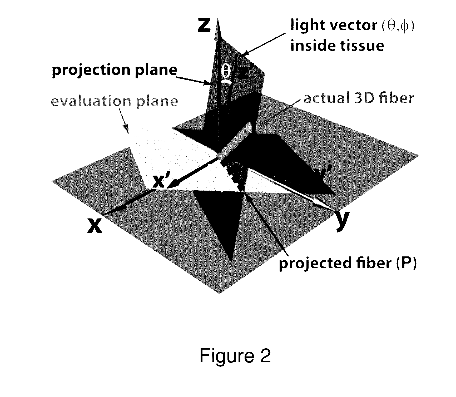 Optical polarization tractography systems, methods and devices