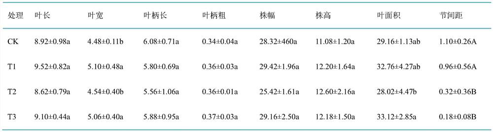 A method for shortening the internode distance and improving the ornamental quality of small potted plants of pothos radix