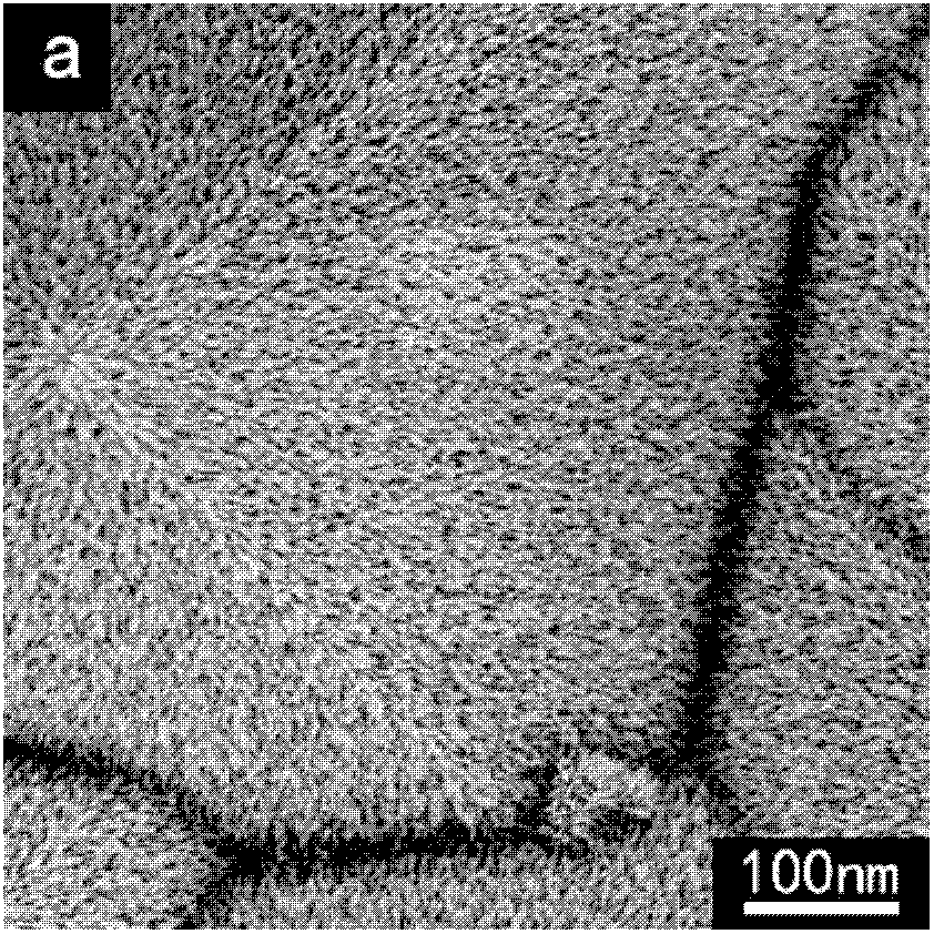 A method of increasing light absorption of solar cells