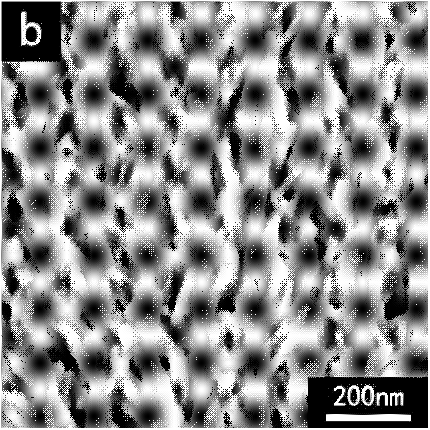 A method of increasing light absorption of solar cells