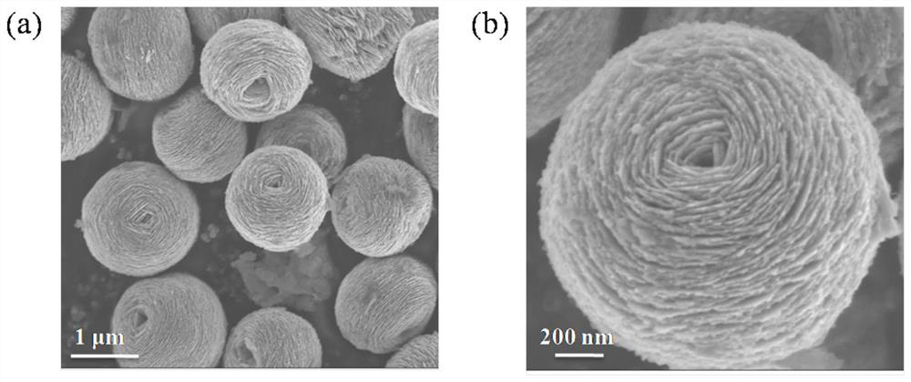 Room-temperature optical excitation zinc oxide phonon vibrating terahertz laser