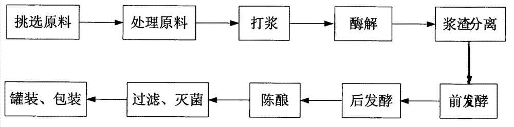 Mango wine and preparation method thereof