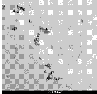 Method for preparing grapheme/ ceramic nanocrystalline particle composite material with electrospinning-hydrothemal method