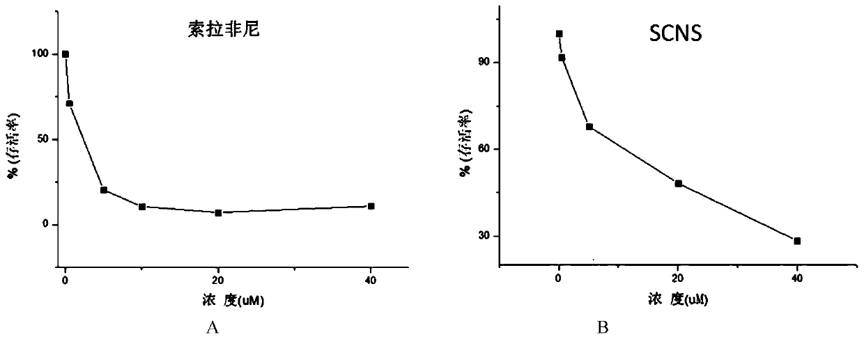 Amphiphilic nano-medicine and its preparation method and application