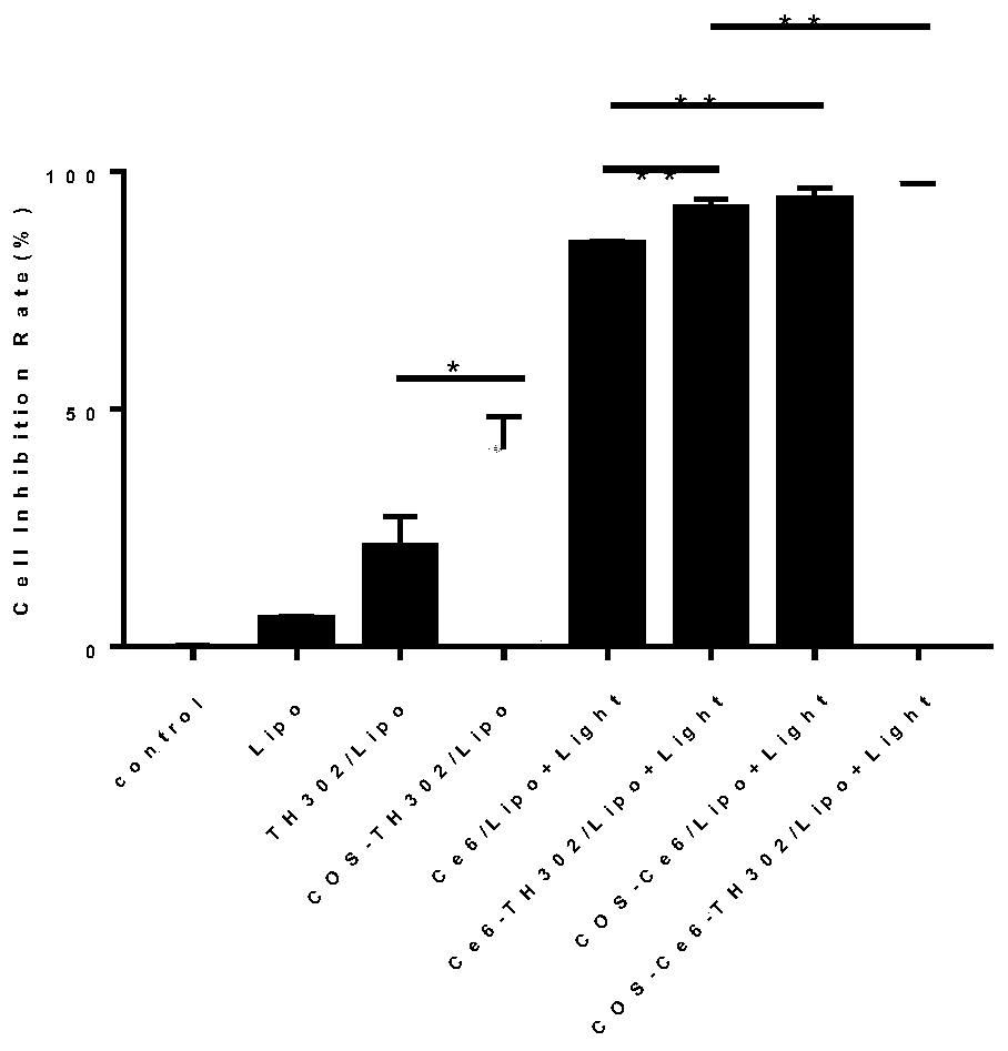 A photosensitive nano-liposome targeting triple-negative breast cancer stem cells