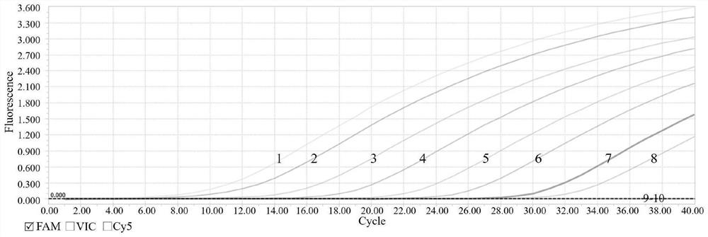 Multiple real-time fluorescent quantitative PCR (polymerase chain reaction) primer, probe and kit for simultaneously detecting three types of echinococcus