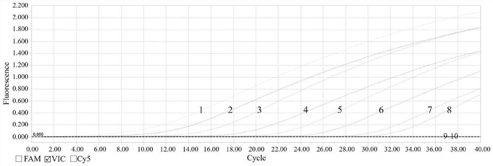 Multiple real-time fluorescent quantitative PCR (polymerase chain reaction) primer, probe and kit for simultaneously detecting three types of echinococcus