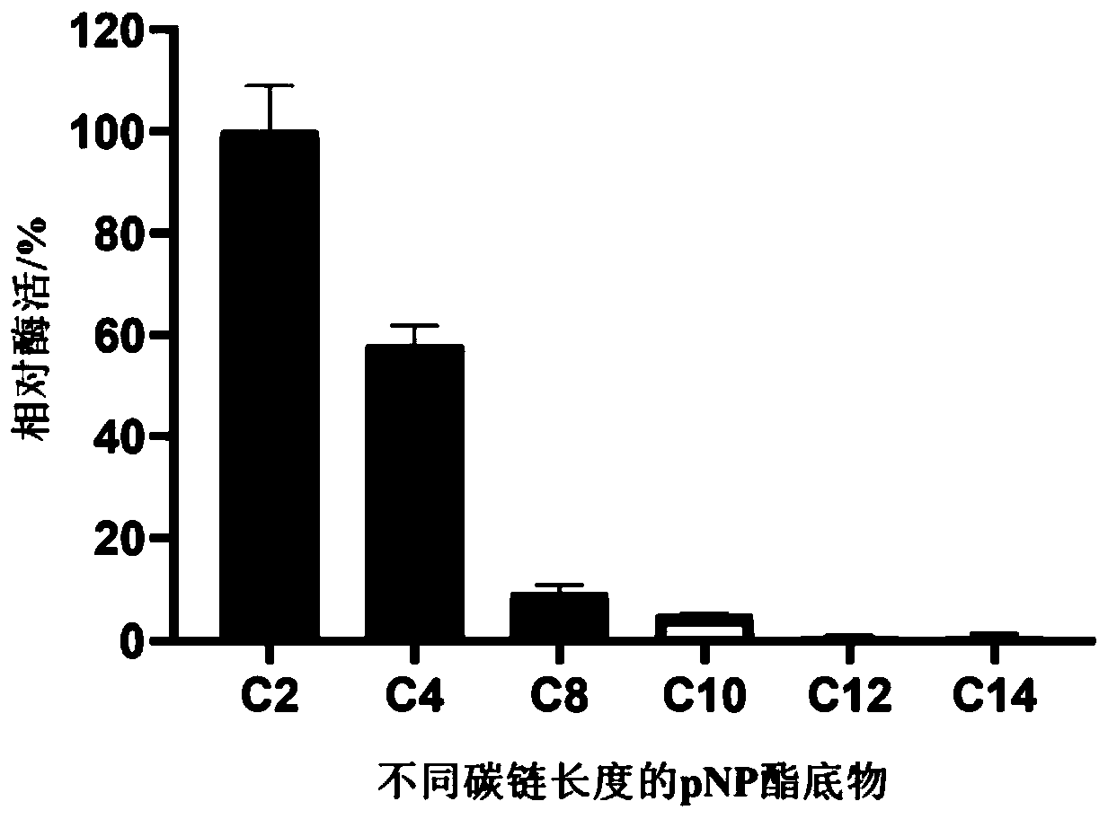 Esterases and coding gene and application thereof