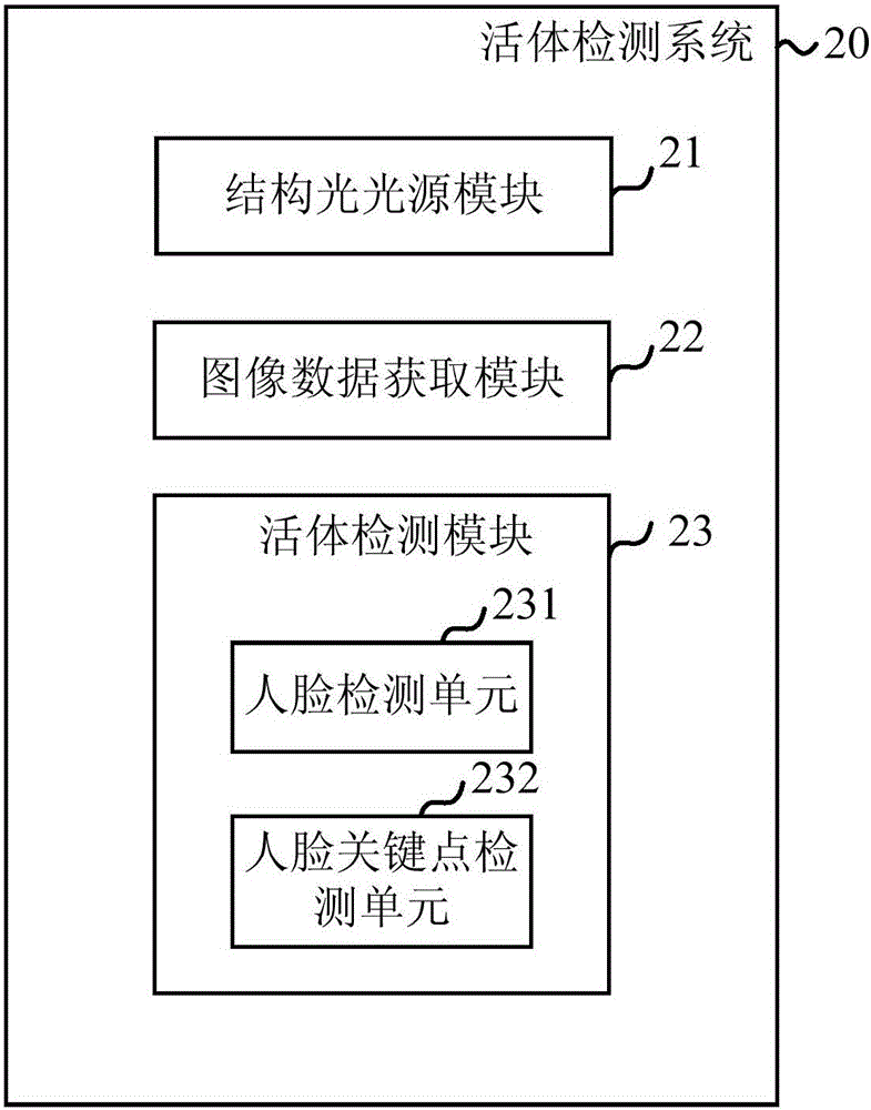 In vivo detection method, in vivo detection system and computer program product