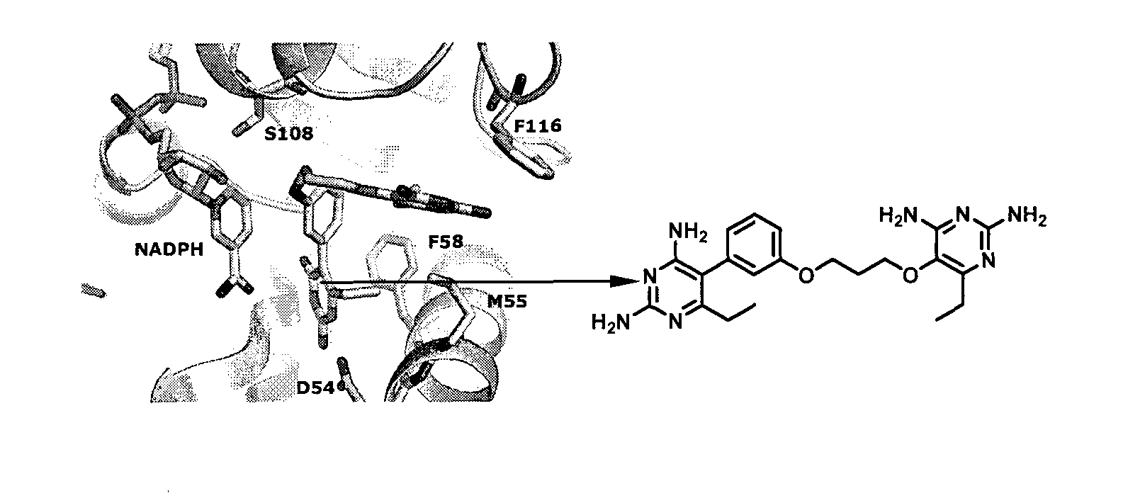 Anti-folate antimalarials with dual-binding modes and their preparation