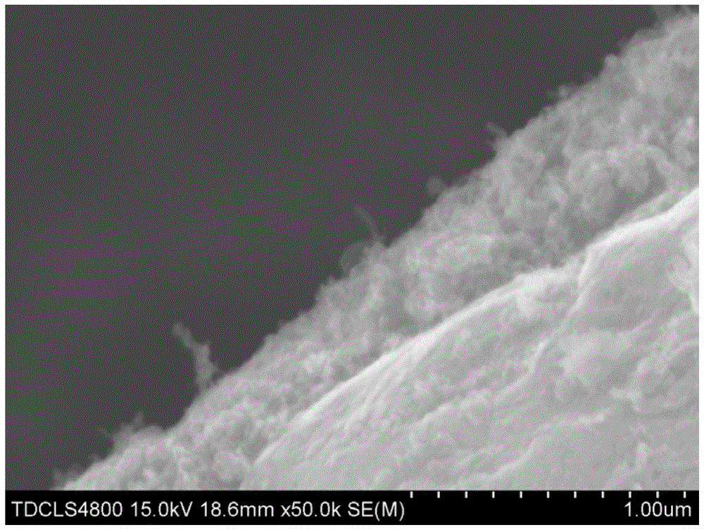 Preparation method of carbon nanotube reinforced aluminum foam composite material for vibration damping and energy absorption