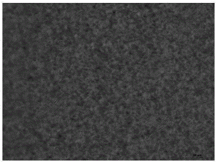 Preparation method of cellulose nanocrystal cholesteric liquid crystal texture anti-counterfeiting mark