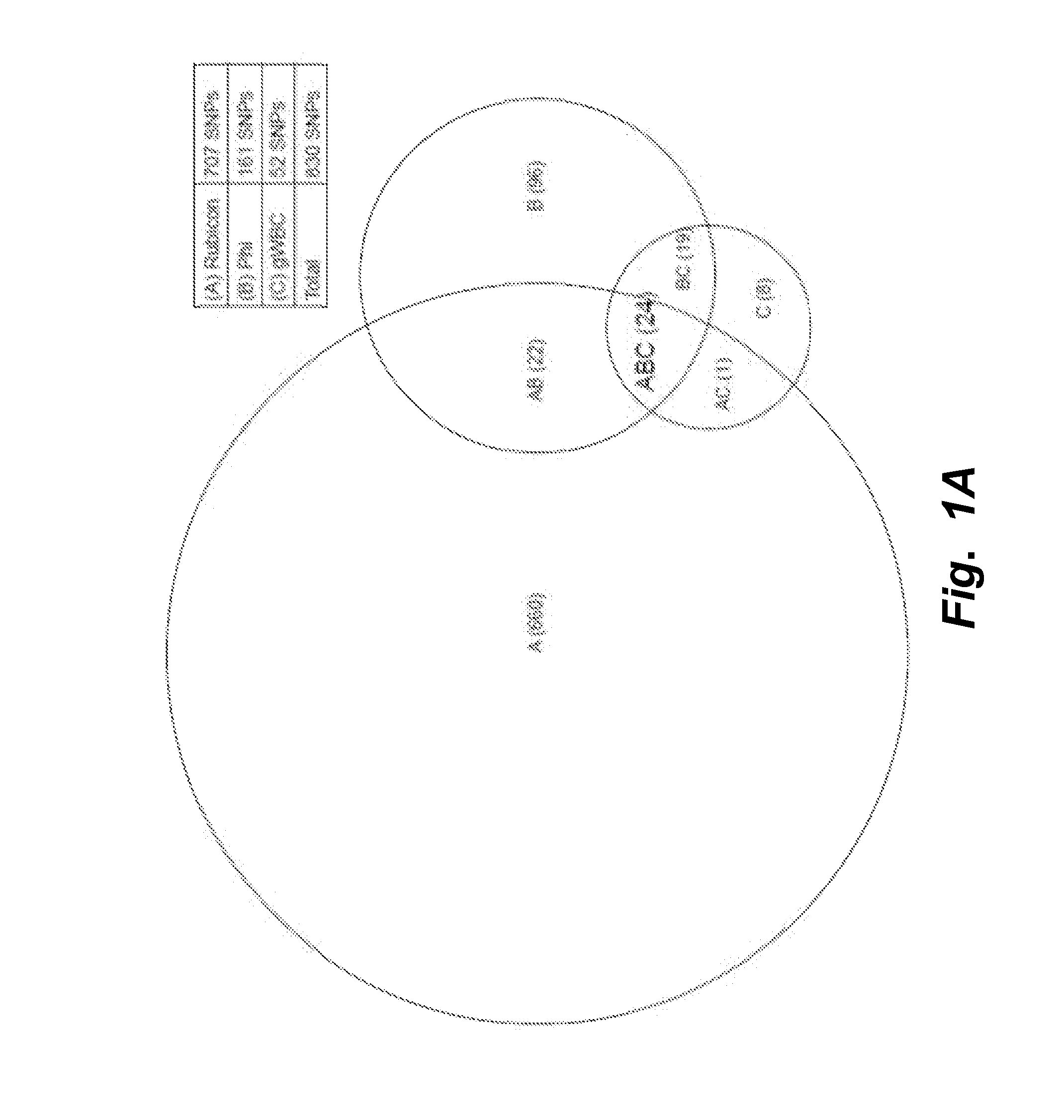 Dual enzymatic amplification