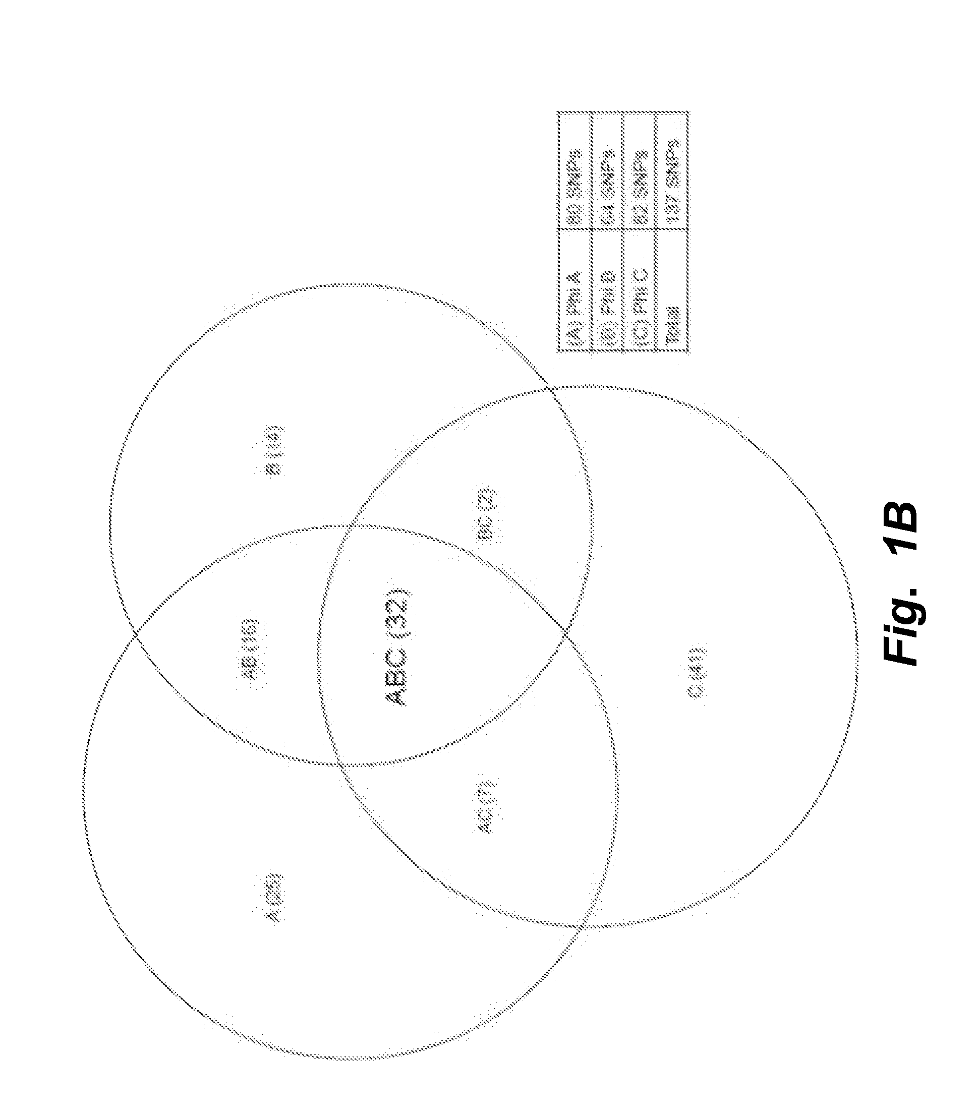 Dual enzymatic amplification