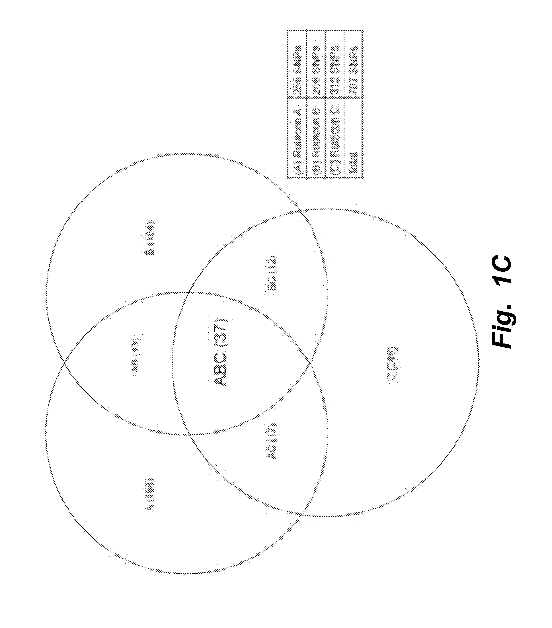 Dual enzymatic amplification