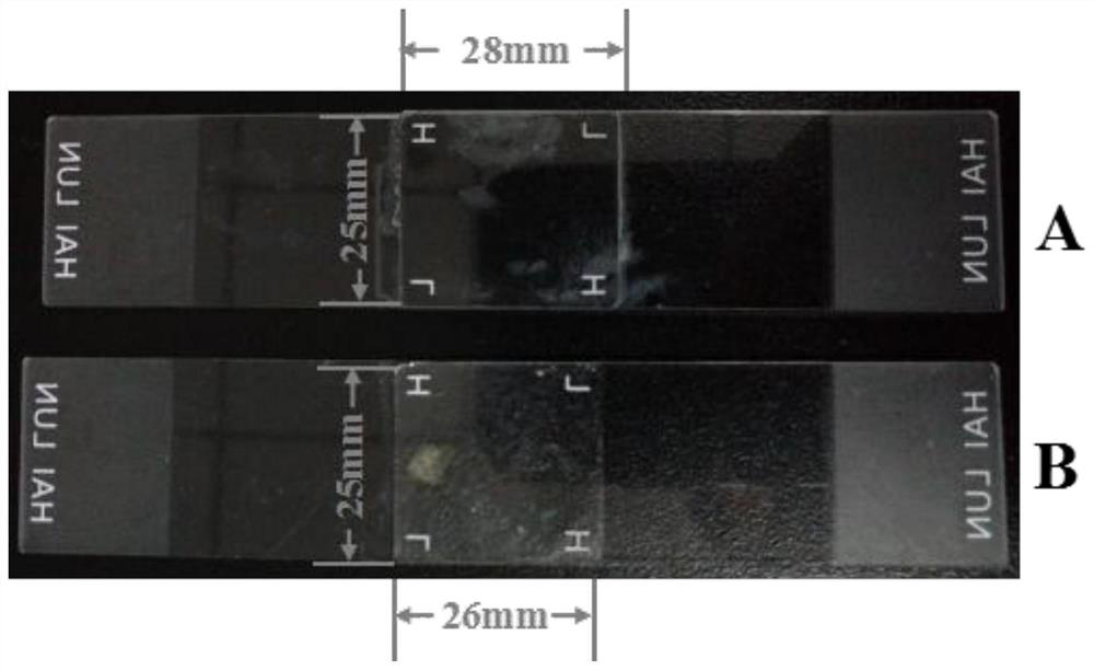 A kind of barnacle gum protein dialysis process and the method for obtaining two different types of proteins