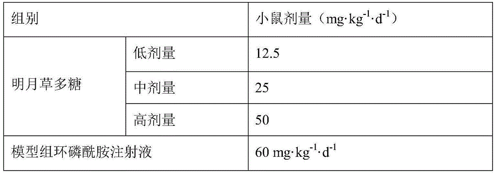 Daun negokilo polysaccharide and application thereof in preparation of immunoregulatory and antineoplastic drug and functional food