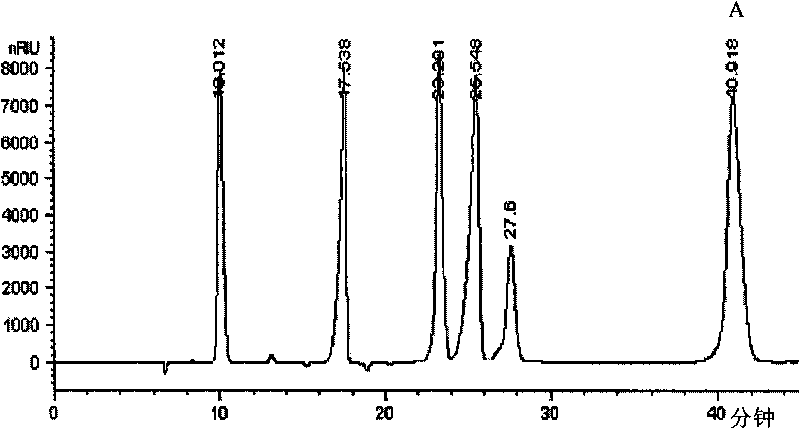 Recombinant blue-green algae