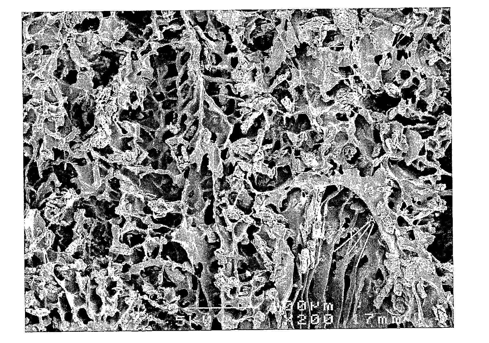 Porous polymer blend structures