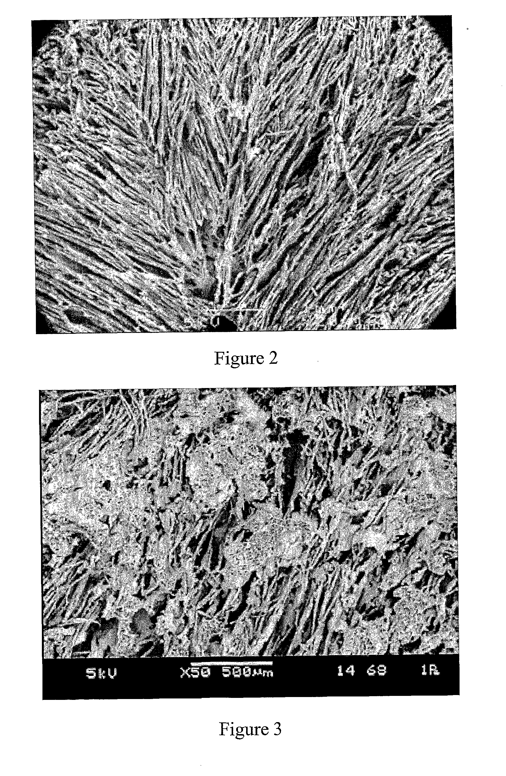 Porous polymer blend structures