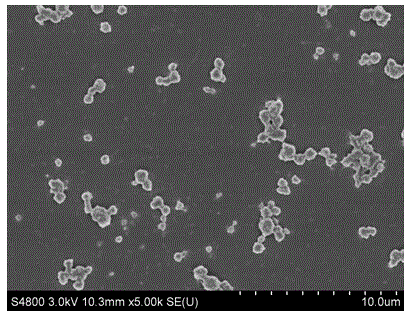 Tussah silk protein adriamycin sustained release microsphere and preparation method thereof