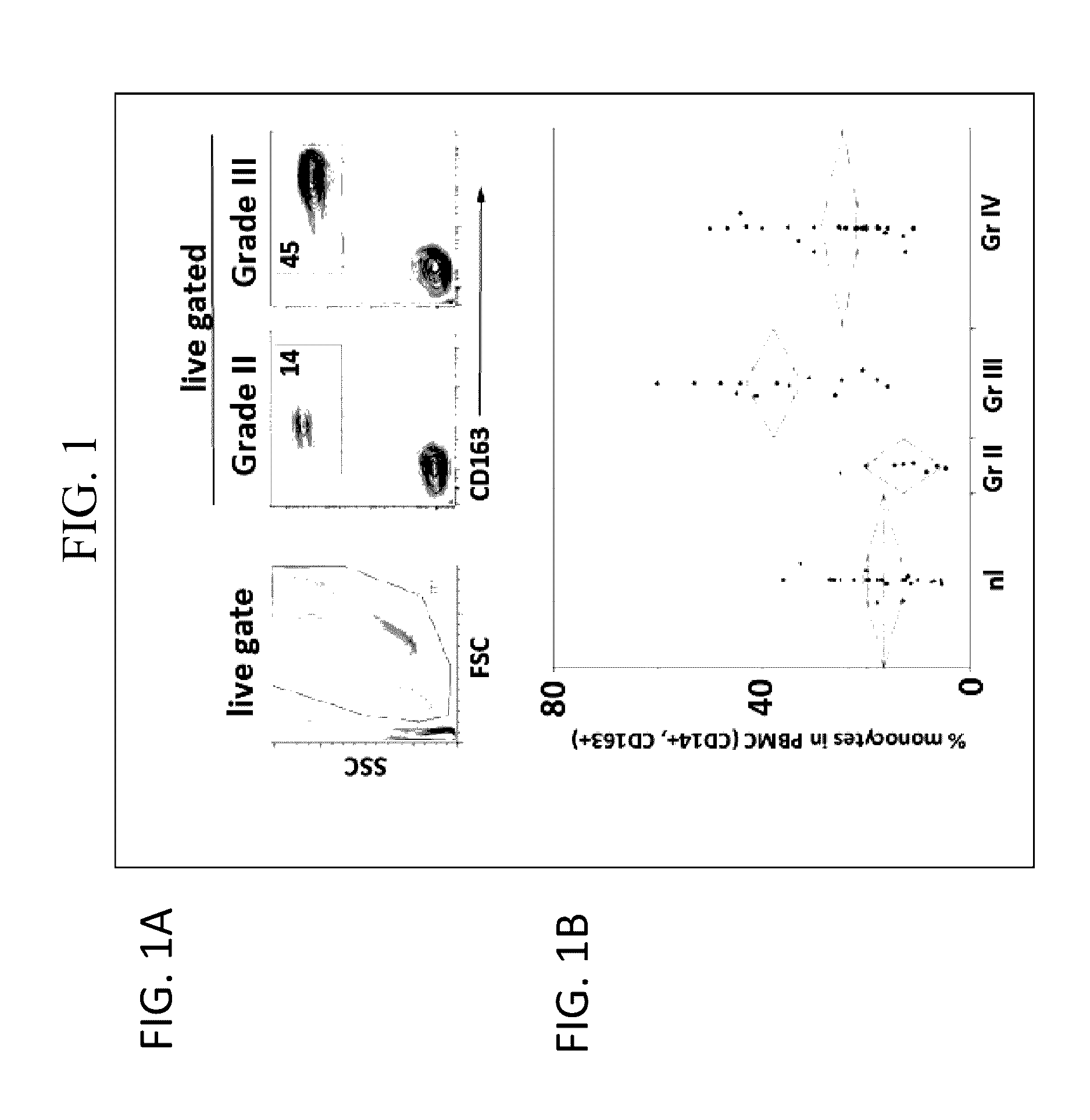 Methods and Compositions for Treating Cancers and Enhancing Therapeutic Immunity by Selectively Reducing Immunomodulatory M2 Monocytes