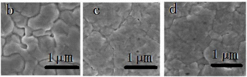 Perovskite solar cell and preparation method thereof