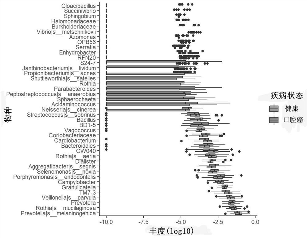 Microbiota and applications for oral cancer risk prediction