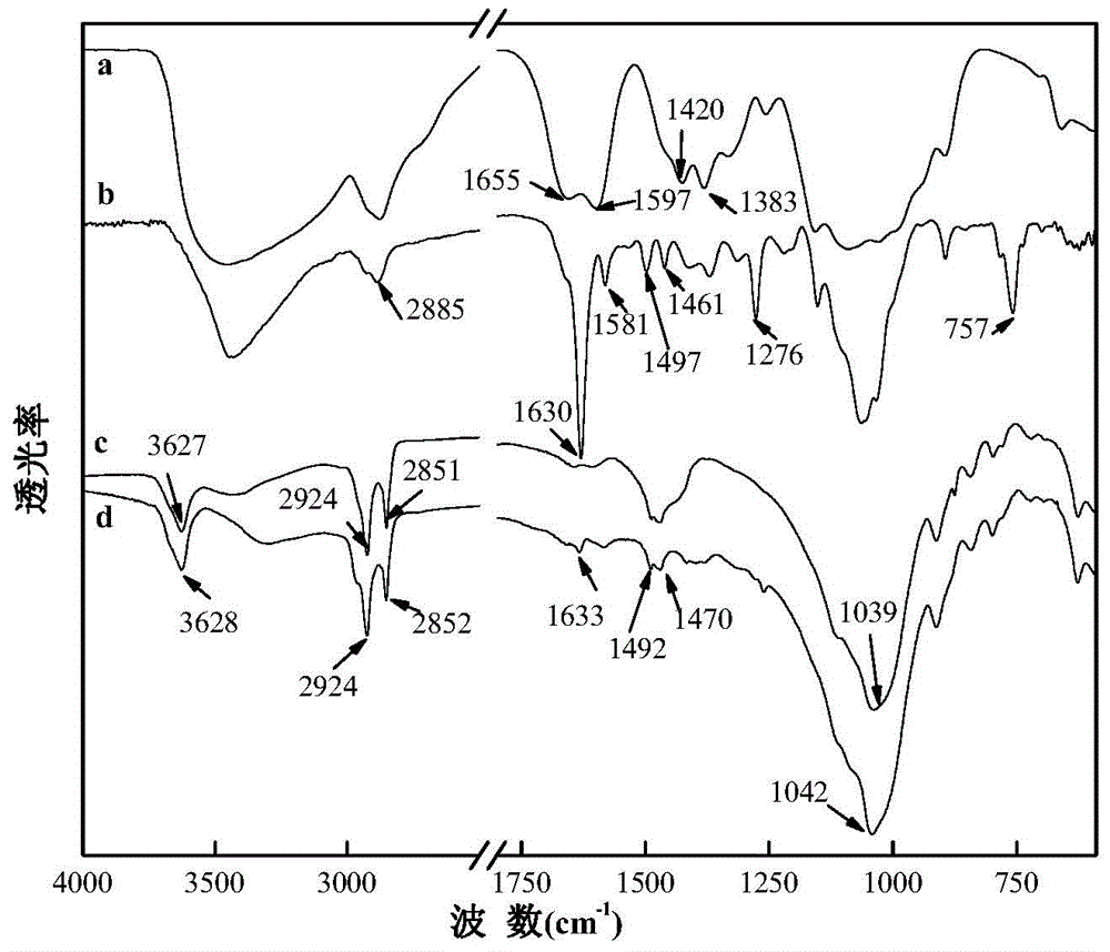 Preparation method of adsorbent of phenolic compound in water