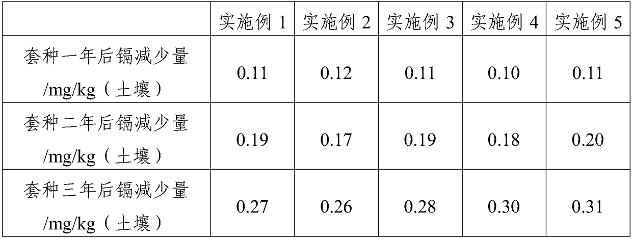 Interplanting technique with function of improving orchard soil properties