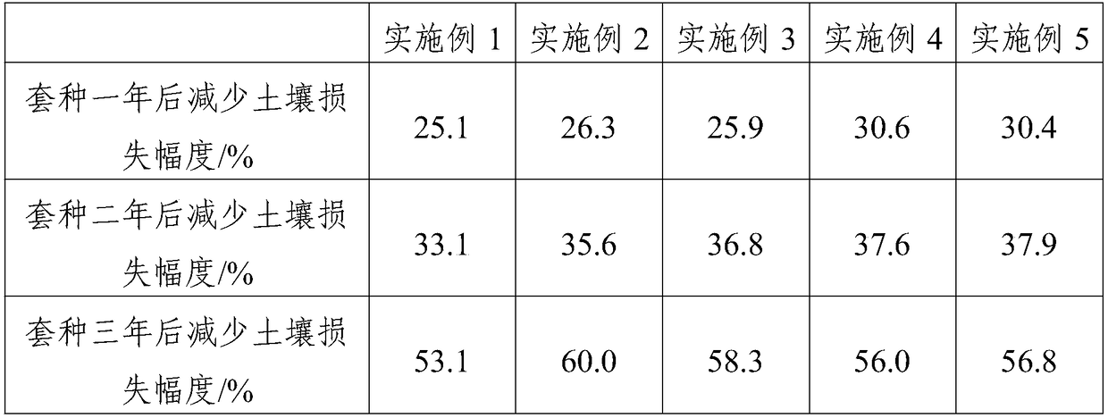 Interplanting technique with function of improving orchard soil properties