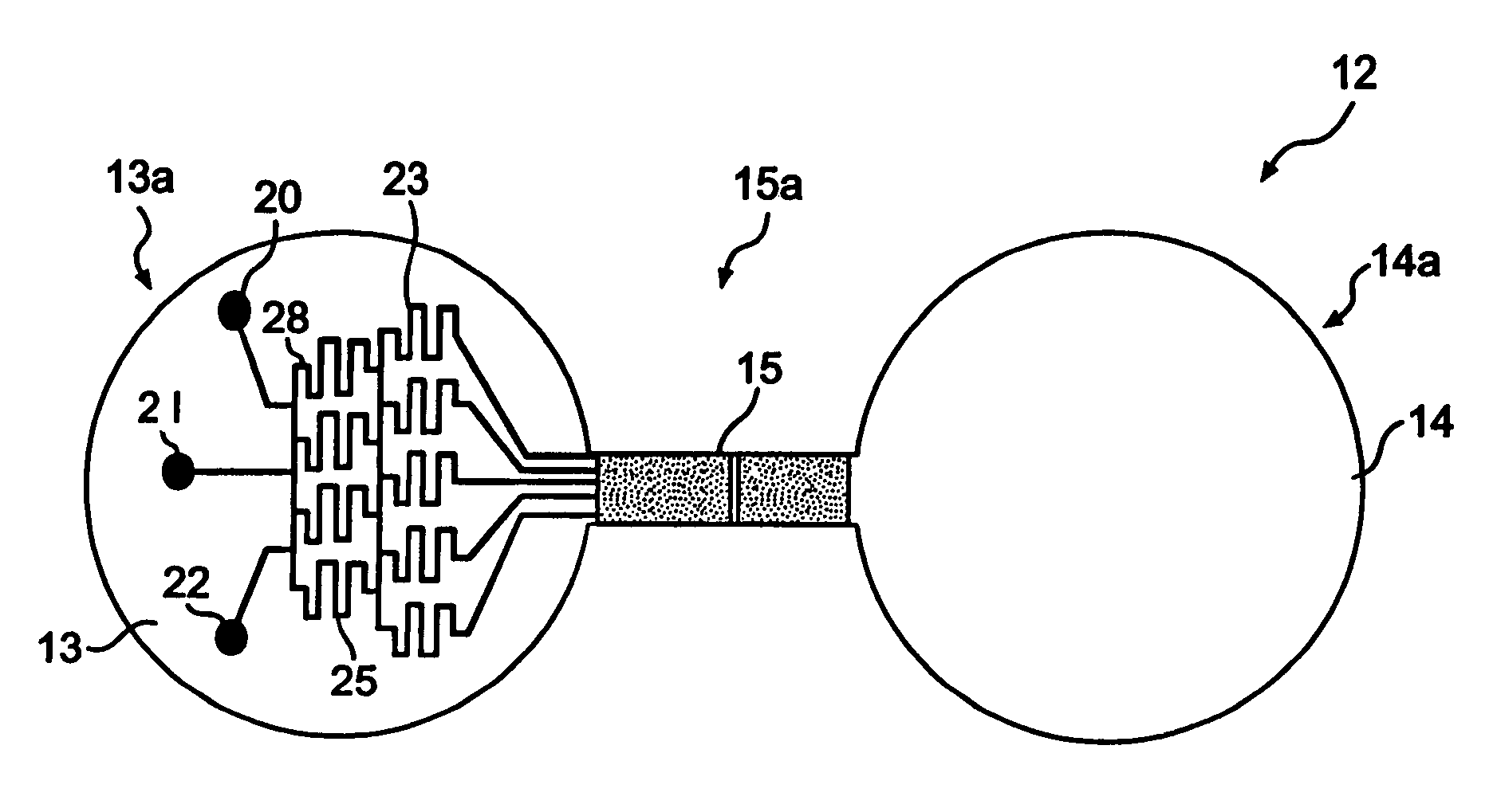 Biological assays using gradients formed in microfluidic systems