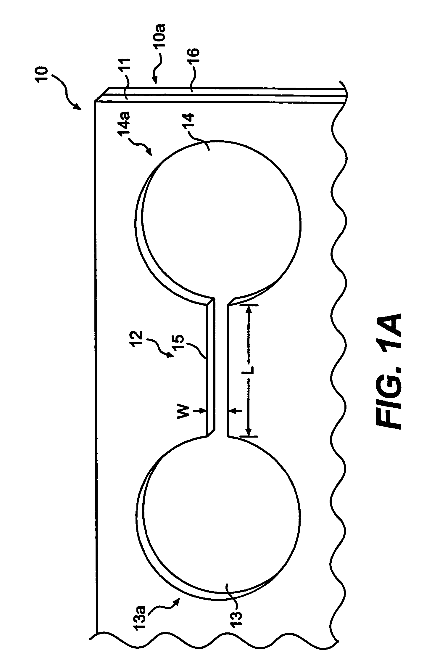 Biological assays using gradients formed in microfluidic systems