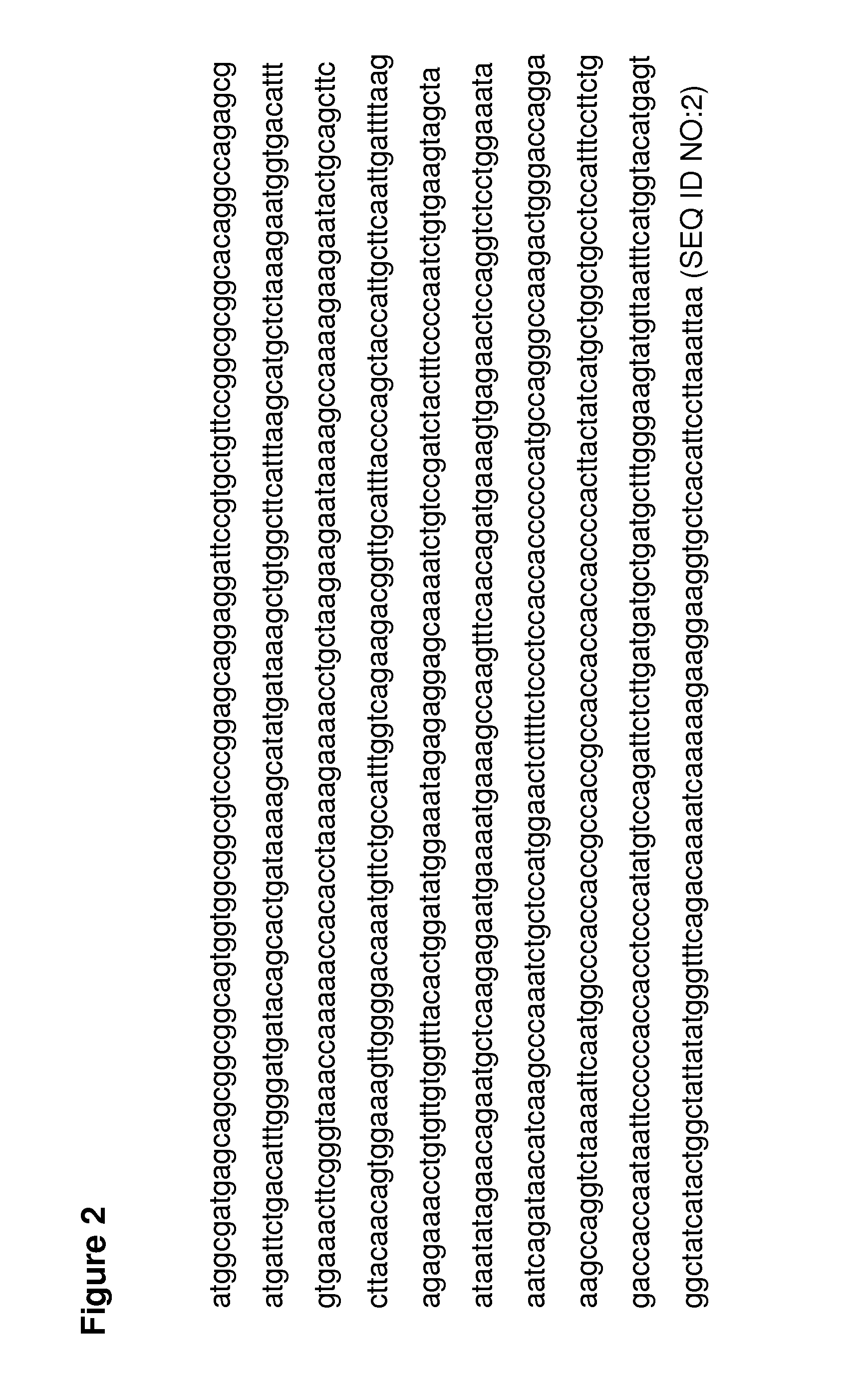 Compositions and methods for treating spinal muscular atrophy