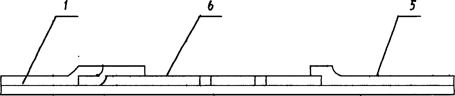 Verifying test paper of chloromycetin gel by gold method and production thereof