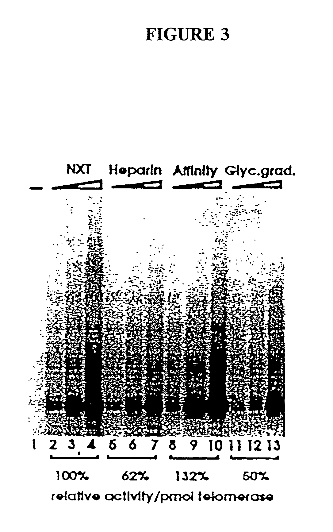 Novel telomerase