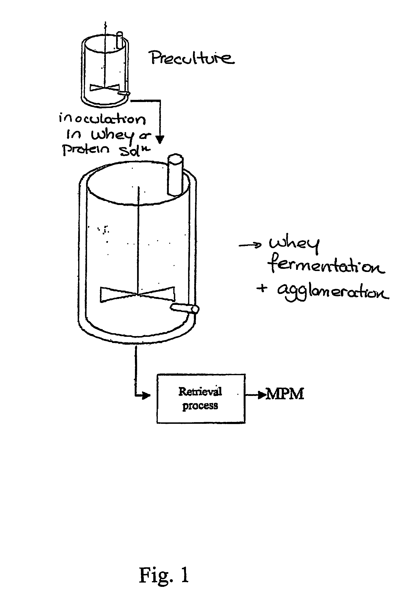 Malleable protein matrix and uses thereof