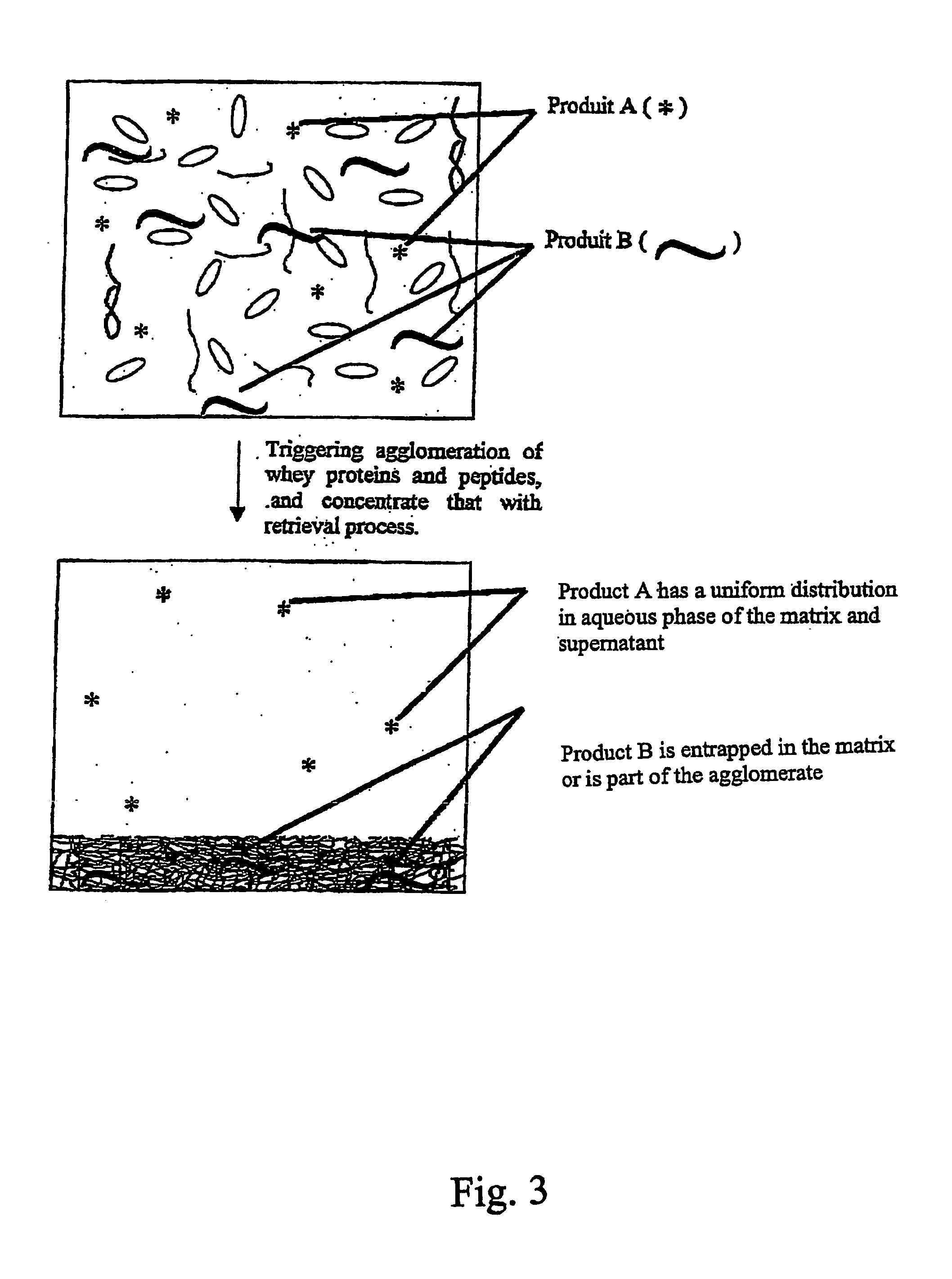 Malleable protein matrix and uses thereof