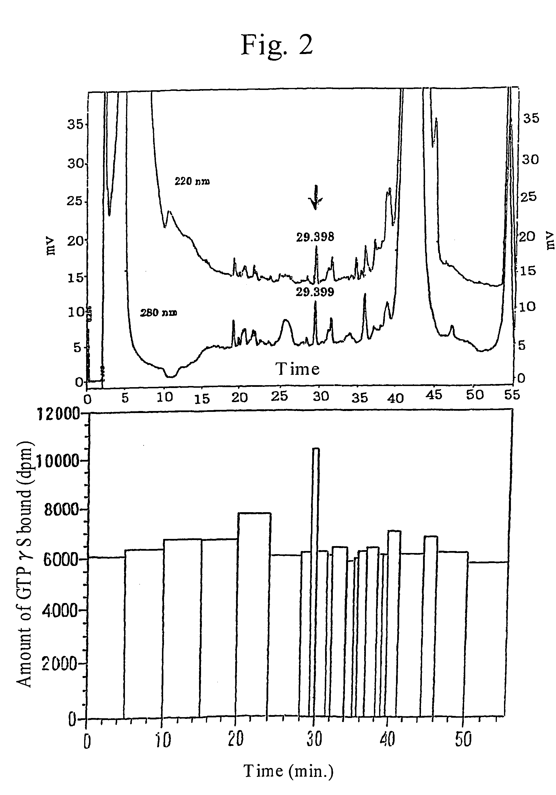 Peptide having appetite stimulating activity