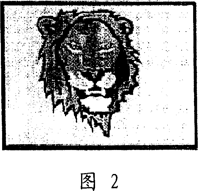 Picture display apparatus and its display method