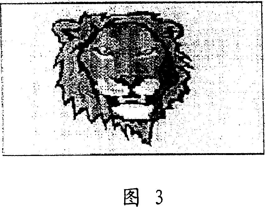 Picture display apparatus and its display method