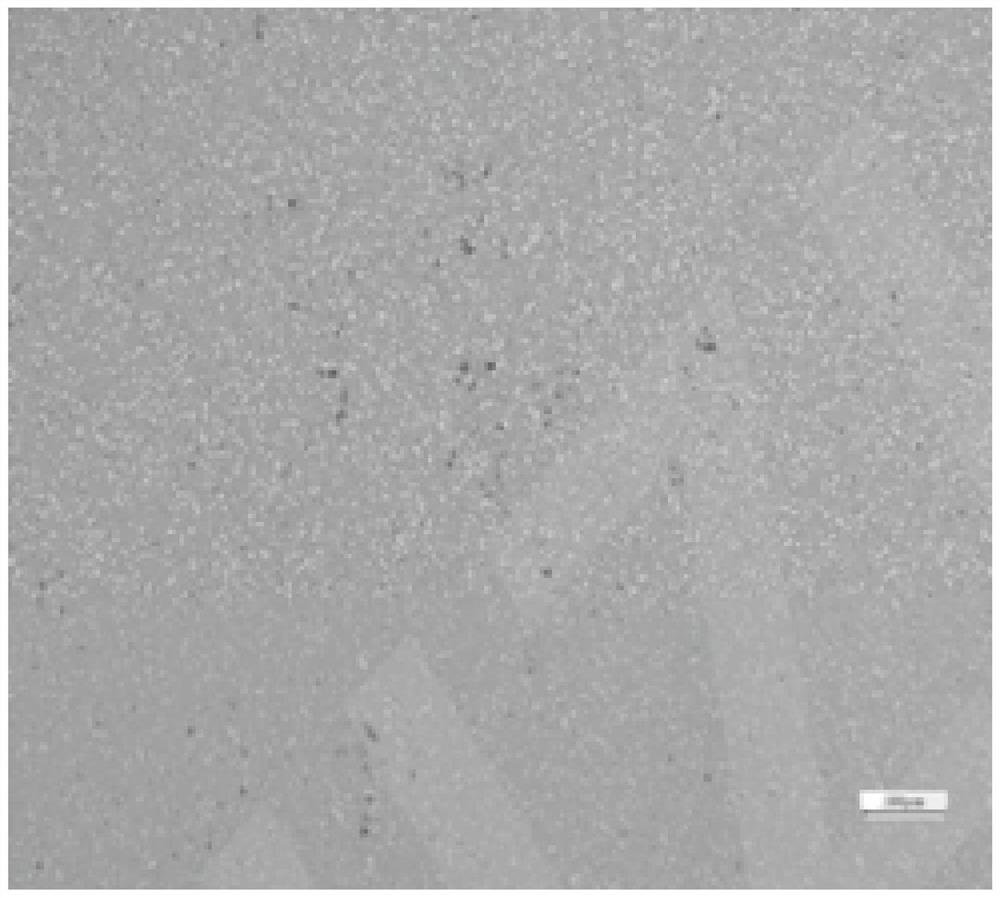 Preparation method of ultra-coarse-grain hard alloy