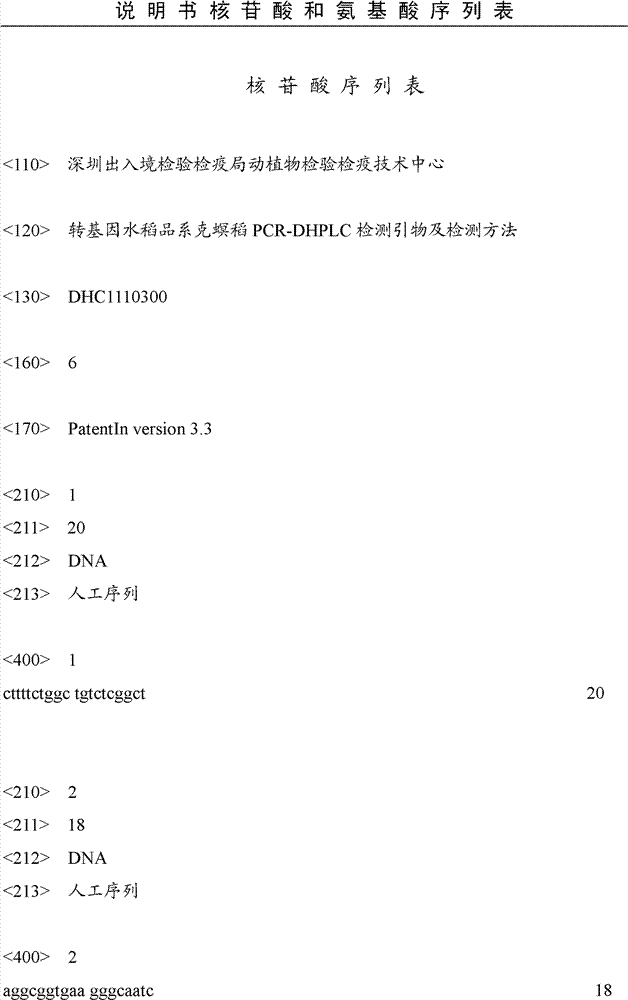 PCR-DHPLC (polymerase chain reaction-denaturing high performance liquid chromatography) detection primer and detection method for genetically modified rice strain KMD