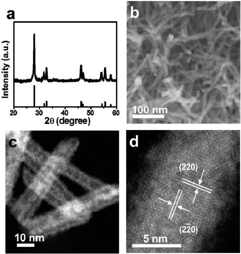 Bismuth-based catalyst for electrocatalytic CO2 reduction to form formic acid and preparation method and application thereof