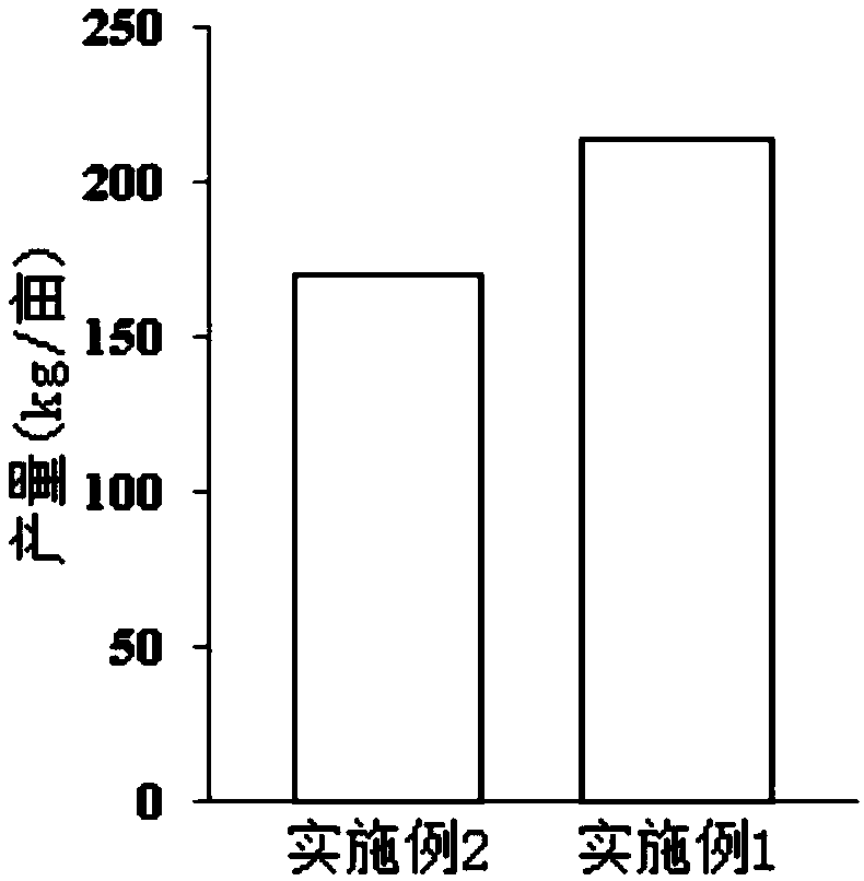 Agricultural-piscatorial comprehensive planting-breeding method used for saline and alkaline land